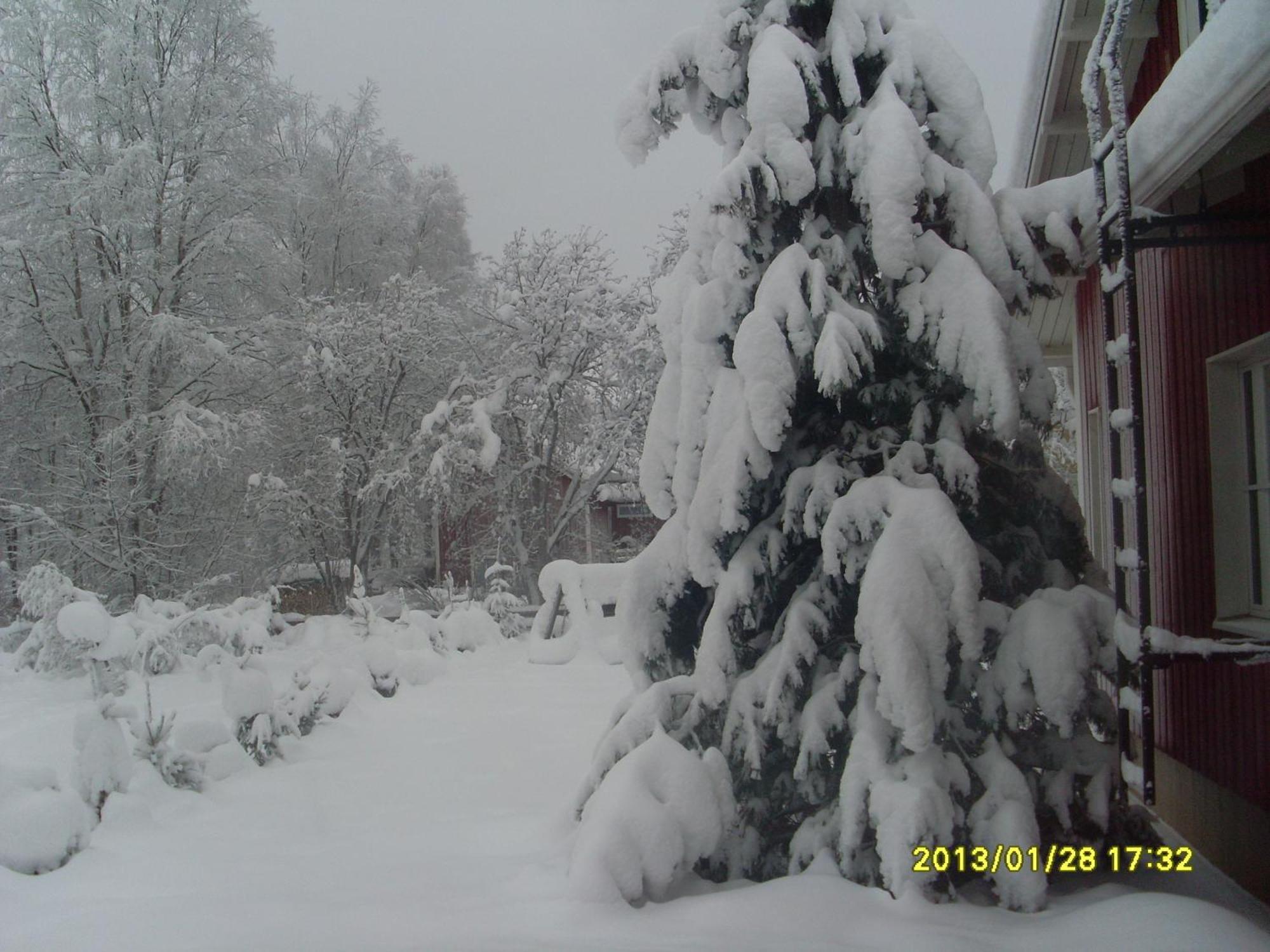 Aaria Bed And Breakfast Rovaniemi Luaran gambar