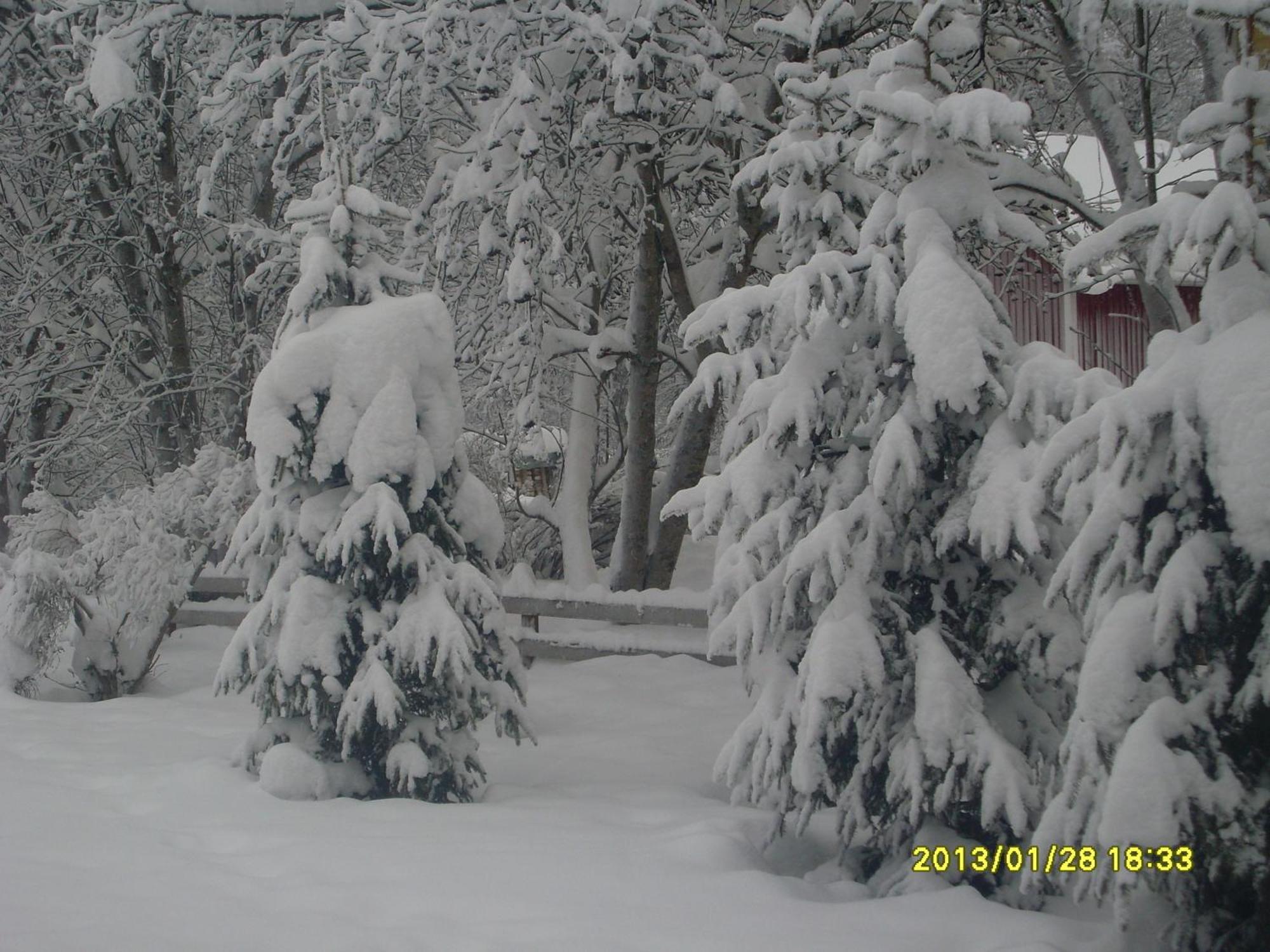 Aaria Bed And Breakfast Rovaniemi Luaran gambar